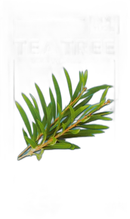 The Saem Natural Mask Sheet Tea Tree