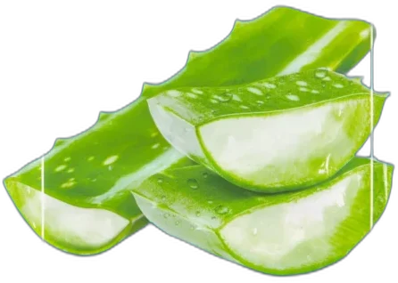 The Saem Natural Mask Sheet Aloe