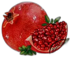 Lebelage Hydratačná textílna maska na tvár s výťažkom z granátového jablka Pomegrante Solution Mask