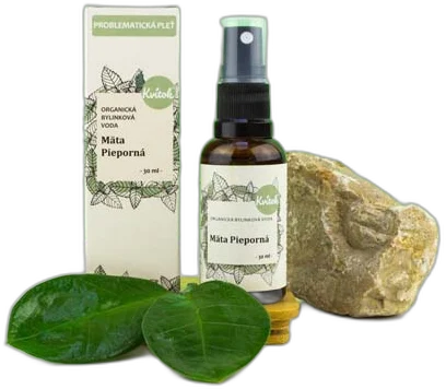 Organická Bylinková Voda – Mäta Pieporná rozprašovač 30ml Kvitok