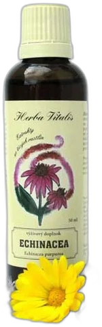 Echinacea purpurová Tinktúra, kvapky (macerát) Herba Vitalis 50ml