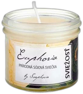 SVIEŽOSŤ – ručne odlievaná sójová sviečka 125ml Soaphoria